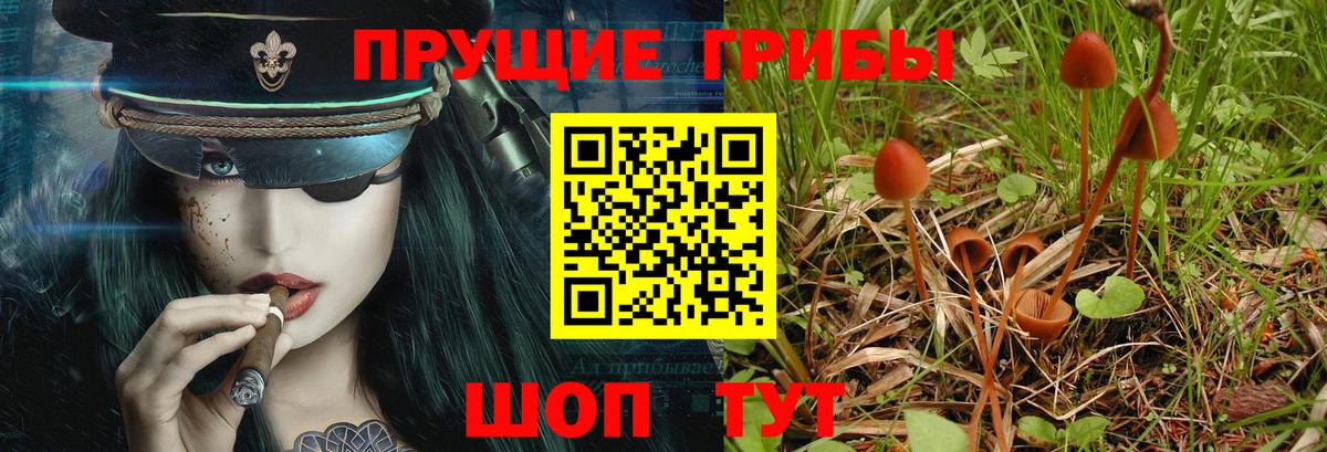 Галлюциногенные грибы прущие грибы  Псилоцибиновые грибы MAGIC MUSHROOMS  Вход с VPN  Ковров 
